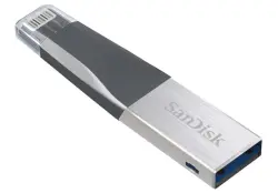 Sandisk FLSA256GSDIX90N | Флешка 256GB USB 3.0 Lightning