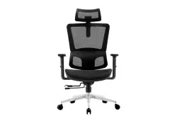 NOEL OCHNERGOHBLK | Office Chair Mesh 2D Lumbar 3D Armrest Black