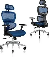 NOEL CHNMMMBLU | Office Chair Mesh Fabric 2D Lumbar 3D Armrest Blue