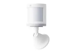 Yandex SHYYNDX-00522 | Akylly hereket we ýagtylyk datçigi Zigbee