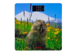 ARDESTO SCB-965 | Elektron agram ölçegi 5-150 kg marmot platforma