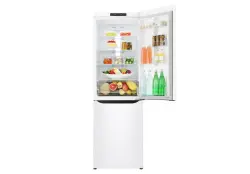 LG GA-B419SQJL | Sowadyjy 302L Inwertor 2 Gaply Ak