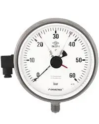 Pakkens 1001001106 | Manometr Ø100mm G1/2"B 0-6 bar/psi Gliserin