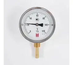 Pakkens 0634020101 | Биметаллический термометр Ø63мм -30/+60°C