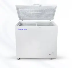 GENERAL MAX BD250Q | Freezer 250L Commercial Grade