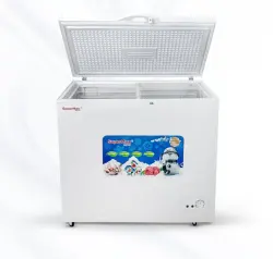 SUPERMAX BD-260G | Freezer High-Capacity Commercial Unit