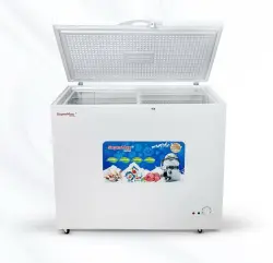 SUPERMAX BD-310P | Freezer 310 L Capacity