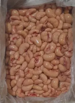 Maksada Okgunly | Doňdurylan Tohumlar (0,100) kg Bölek