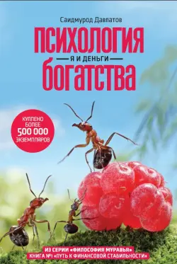 Train Brain | Бизнес-книга Психология богатства на русском языке