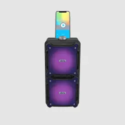 ELISTA ELS-MusiKing 1600 NRG-5501A | Göçme Simsiz Gürleýji Mikrofonly