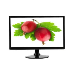 SAP041 S19W | LCD Monitor 19 Inch 1440x900 TN 75Hz HDMI VGA