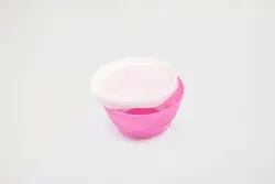 0.6 L | Plastic Container