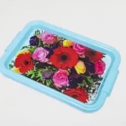 450x300x28 | Small tray with sticker