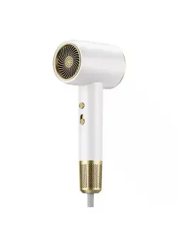 BaByverse SE-XC2 | Saç Guradyjy 2500W Professional