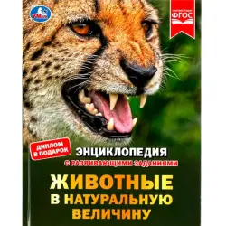 Umka BK-00101604 | Children's Encyclopedia Life-Size Animals