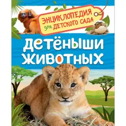 Klyushnik BK-00100278 | Children's Encyclopedia Russian Edition