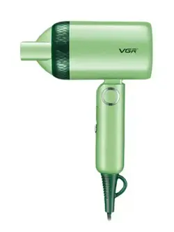 V-421 | Hair Dryer